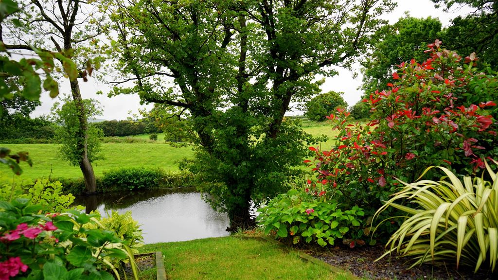 Hekwerk vijver tuin