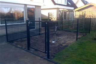 Hondenren Emmen (Drente)